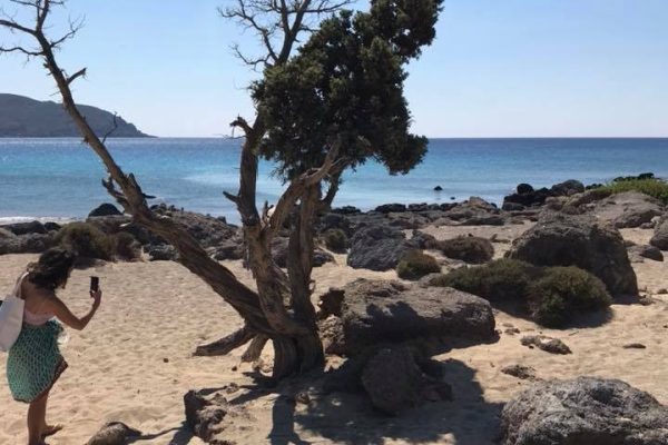 Kedrodasos beach, Chania