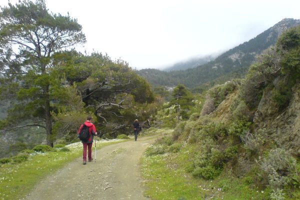 Richtis gorge, Lasithi