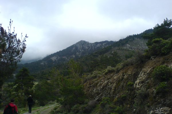 Richtis gorge, Lasithi