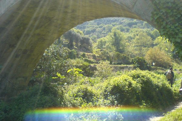 Richtis gorge, Lasithi