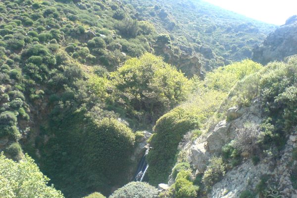 Richtis gorge, Lasithi