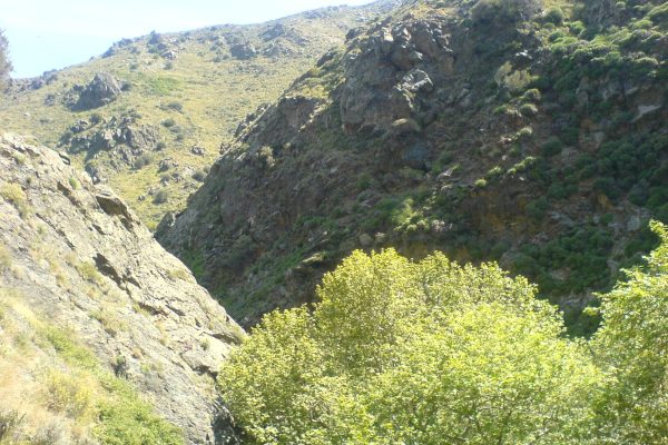 Richtis gorge, Lasithi