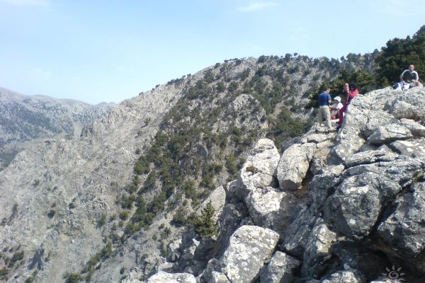 Dasos Rouva, Heraklion