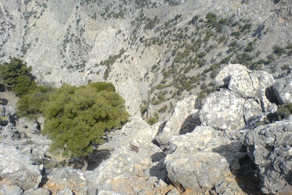 Rouvas gorge, Heraklion