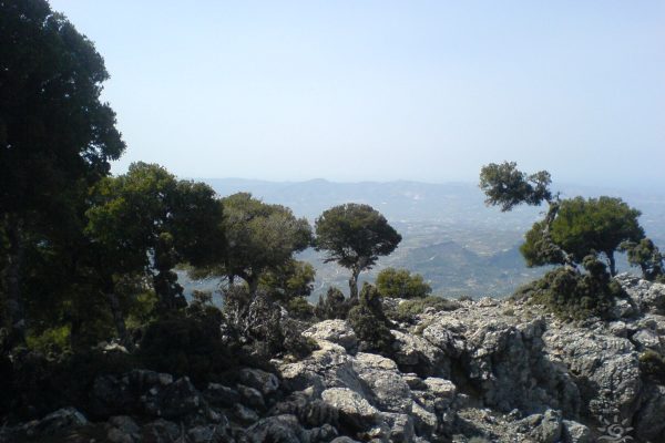 Rouvas gorge, Heraklion