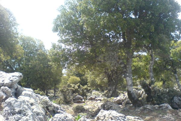 Rouvas gorge, Heraklion