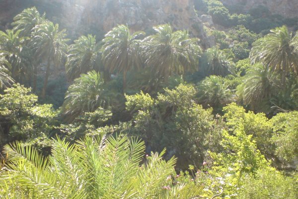 Kourtaliotiko gorge, Rethymno