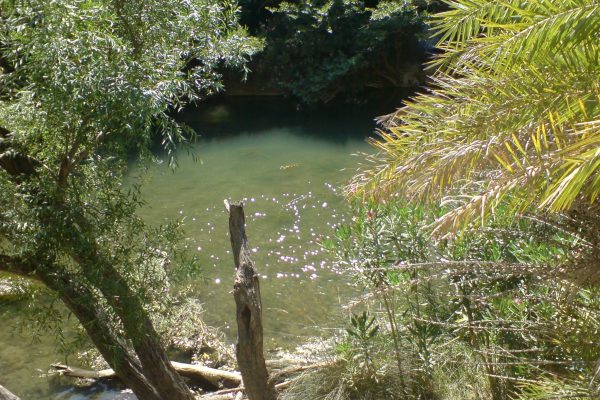 Preveli beach river in Rethymno