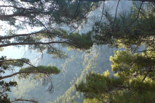 Samaria Gorge