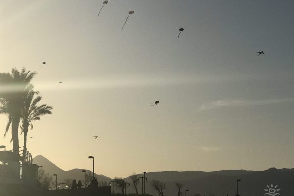 Kites in the sky