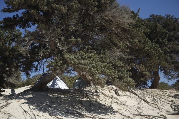 Chrissi Island, South of Ierapetra