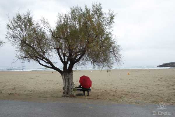 Malia beach
