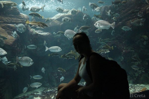 Creta Aquarium, Heraklion