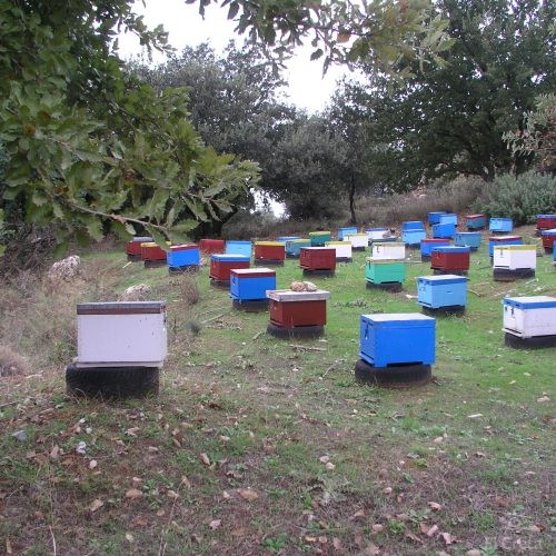 Beehives