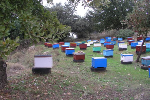 Beehives