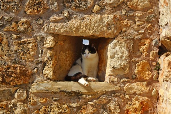 Arkadi monastery, Rethymno
