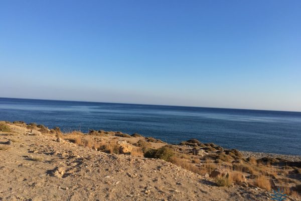 thumbnail_IMG_0493