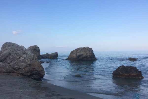 thumbnail_IMG_4035