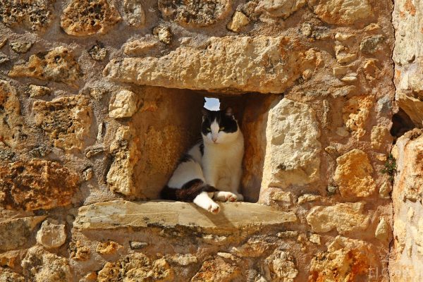 Arkadi monastery, Rethymno